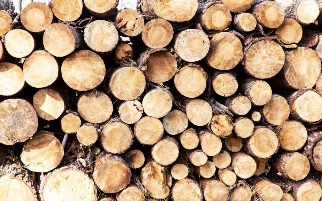 Kāpēc pārdot mežu tieši tagad?